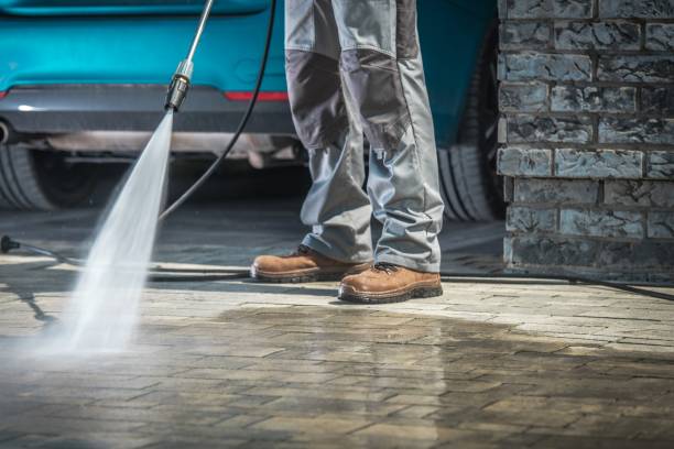Best Animal Enclosure Cleaning  in Putney, GA